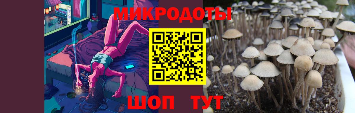 Псилоцибиновые грибы прущие грибы  Вход с VPN  Псилоцибиновые грибы Cubensis  Киров 