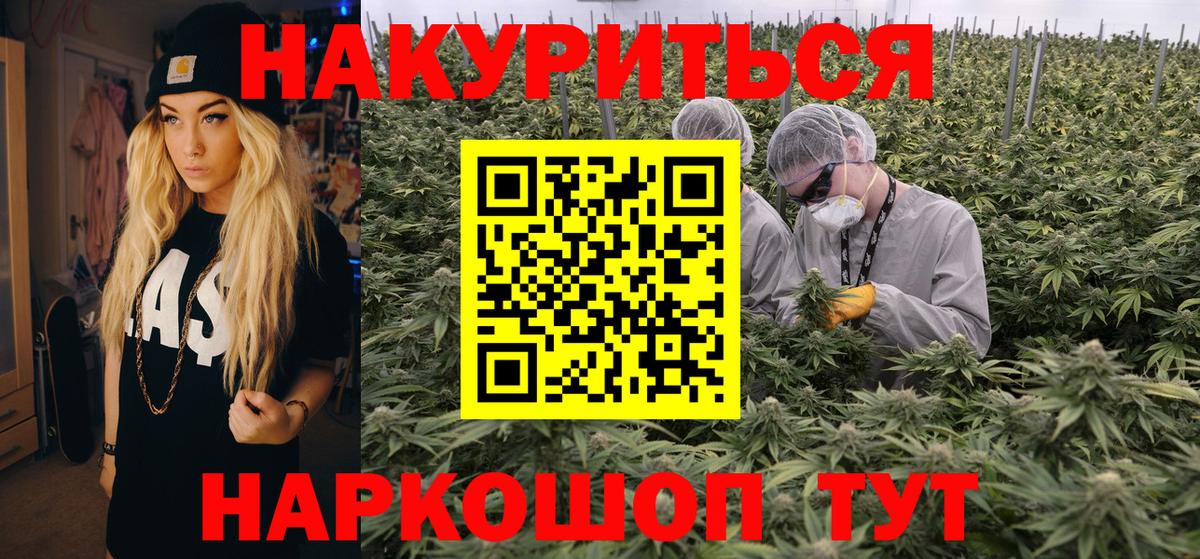 Конопля сатива  Вход с VPN  Киров  Бошки марихуана семена 